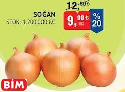 SOĞAN KG